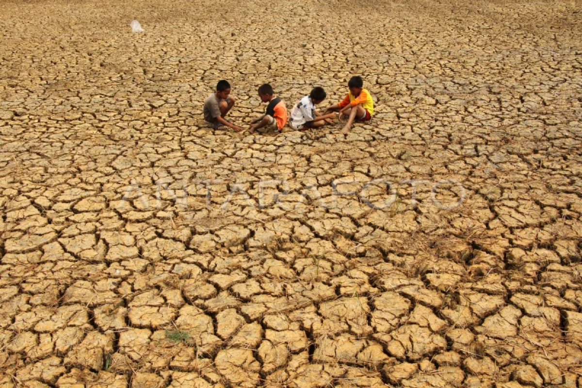 5 Penyebab Anak Rentan Hadapi El Nino